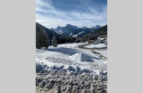 Morillon Ski Chalet | Chalet Hoad