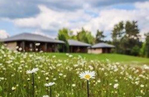 Madranges Ski Chalet | Chalet in France with Lake View