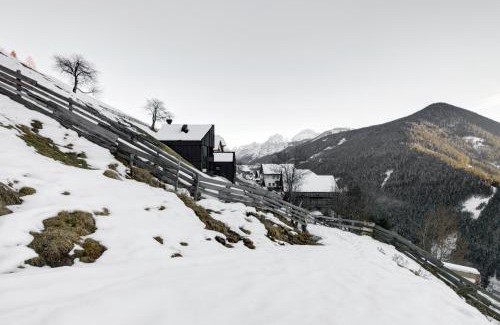 Mareo Ski Chalet | Chalet La Pedevilla