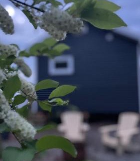 Miguasha-Ouest Ski Chalet | Chalet La Renarde