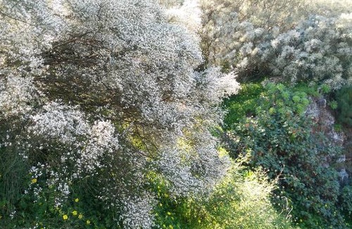 Valsequillo de Gran Canaria House | Chalet La Ruta del Tajinaste