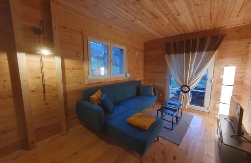 Fraize Ski Chalet | Chalet les Boudières 6 pers près Gerardmer Cosy Billard