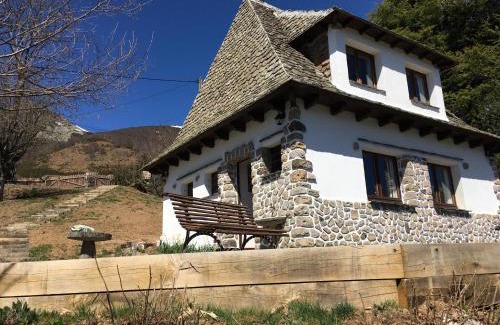 Saint-Jacques-des-Blats Ski Chalet | Chalet Lou Griou