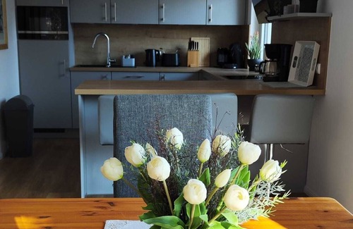 Diemelsee House | Chalet on the Diemelsee with lake view, sun terrace and much more. Pet friendly