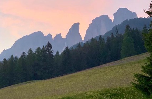 Campitello di Fassa Apartment | Chalet Pian