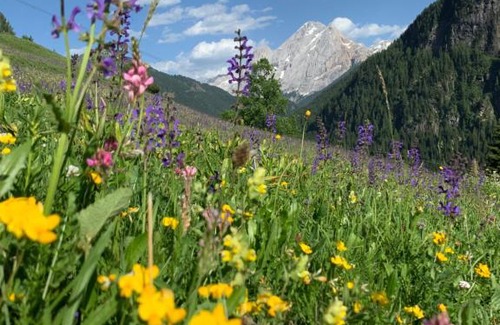 Campitello di Fassa Apartment | Chalet Pian