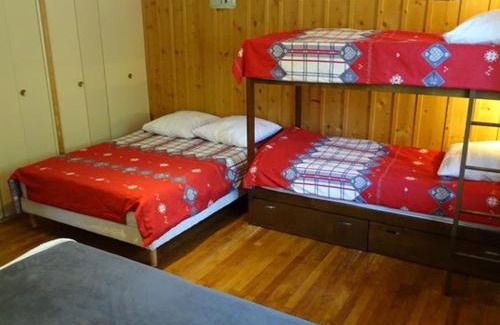 Cohennoz Ski Chalet | Chalet spacieux 10 pers. avec jardin, cheminée, cuisine équipée à Cohennoz, proche nature - FR-1-733-29