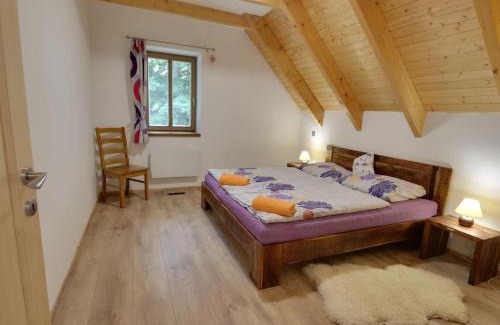 Korenov Ski Chalet | Chalet U Krále-3 by Interhome