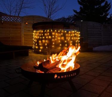 Acletta Apartment | Chalet Viola am Waldrand von Disentis