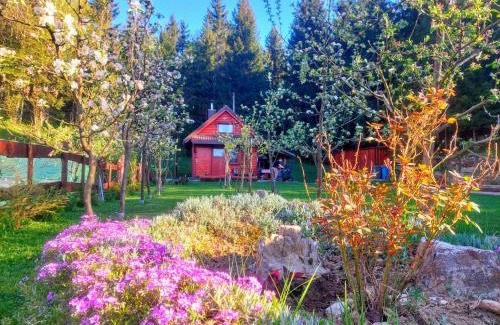 Presika Ski Chalet | Chalet Woody