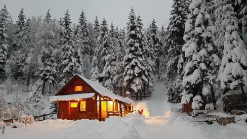 Presika Ski Chalet | Chalet Woody