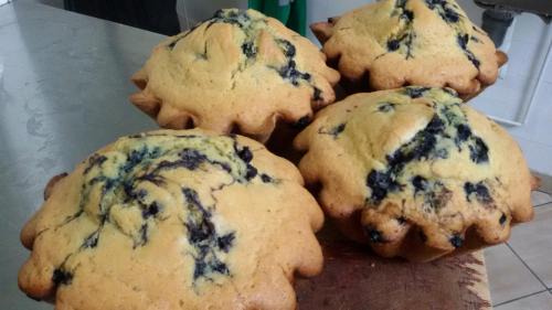 Arrens-Marsous House | Chaletdusoulor- pdj et repas inclus