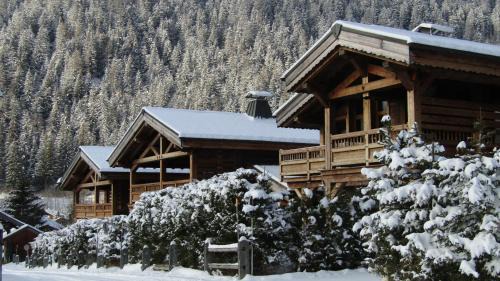 Chamonix-Mont-Blanc Ski Chalet | Chalets Grands Montets