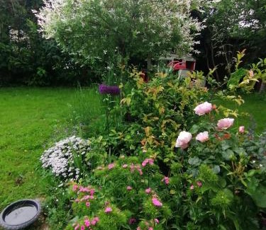 Moussy-le-Vieux House | Chambre chez l habitant avec petit déjeuner