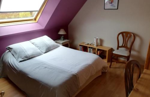 Malguenac Bed & Breakfast | chambre chez l habitant