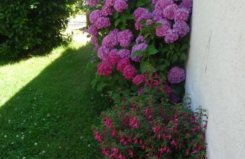 Bazouges-sur-le-Loir House | Chambre d'hôte en Vallée du Loir - Elevage des Rosiers
