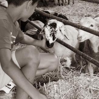Saint-Maurice-la-Clouere Bed & Breakfast | chambre d'hôte dans un havre de paix à la ferme