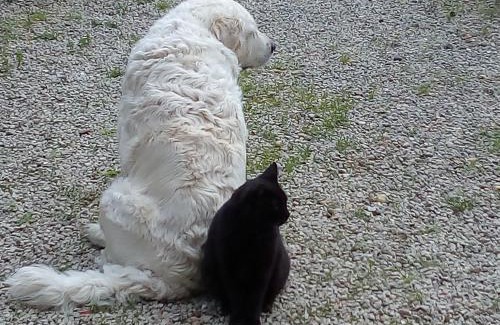 Alles-sur-Dordogne House | chambre indépendante à la campagne