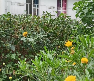 Quartier de la Maison-Blanche House | Chambres COSY PARIS CENTRE au Pied du metro