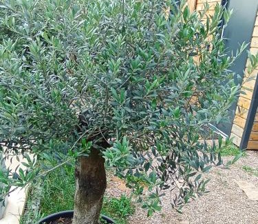 Chavanoz House | Chambres cosy proche cnpe Bugey - via rhona