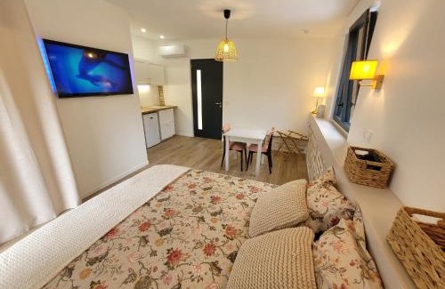 Cahors Apartment | Chambres d'hôtes - Studio La Pause Cadurcienne