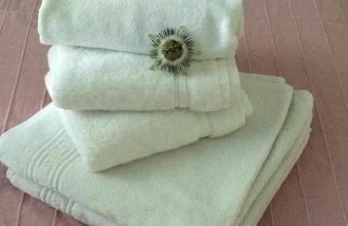 Saint-Palais-sur-Mer House | Chambres Les Passiflores