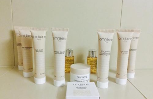 Les Gets Hotel | Chamois d'Or Hotel