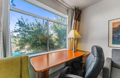 Chandler Apartment | Chandler apartment 1bd Lux 1
