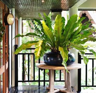 Taling Ngam Villa | Chantra 633 - InterContinental Koh Samui Resort Luxury 3BR Villa