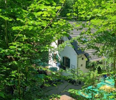 Deidesheim Apartment | Charlottes Waldresidenz