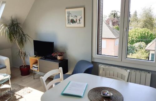 Thonon-les-Bains Apartment | CHARMANT APPARTEMENT à 150 M des THERMES et du CENTRE VILLE