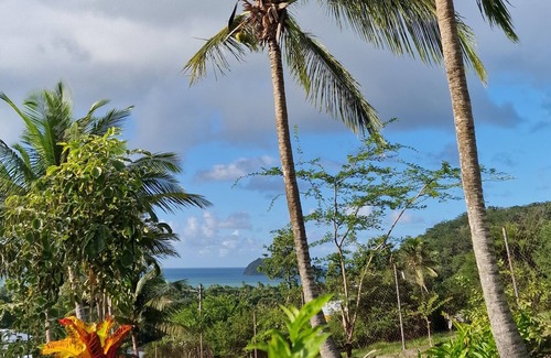 Bas Vent House | Charmant bungalow pour 8 personnes avec piscine
