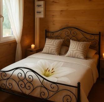 Villefranche-sur-Cher Ski Chalet | Charmant chalet au cœur de la Sologne