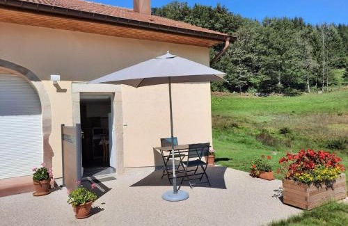 Rupt-sur-Moselle Apartment | Charmant gîte en montagne, 3 étoiles, proche randonnées et Alsace, tout confort avec terrasse. - FR-1-589-391