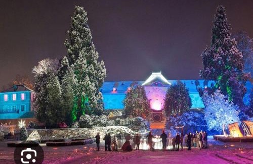 Saint-Amarin Apartment | Charmant petit appartement avec bel exterieur.