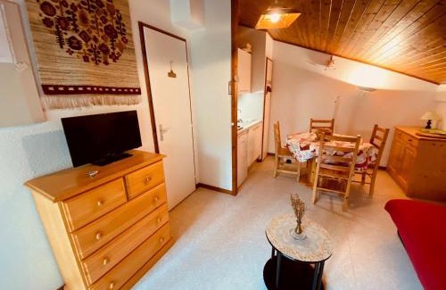 La Clusaz Apartment | Charmant studio avec balcon et parking couvert, proche télémix et pistes, à La Clusaz - FR-1-459-61