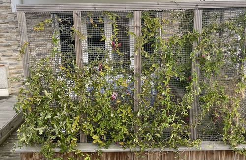 Cancale Apartment | Charmant Studio Proche mer