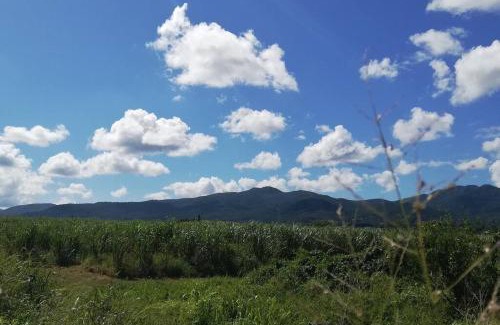Lamentin Villa | Charmante villa créole climatisée, jardin tropical et piscine privés