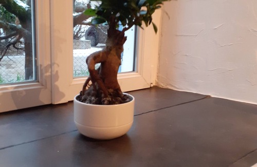 Saint-Barthelemy-de-Vals House | CHARMING VILLAGE HOUSE, air-conditioned cottage with garden