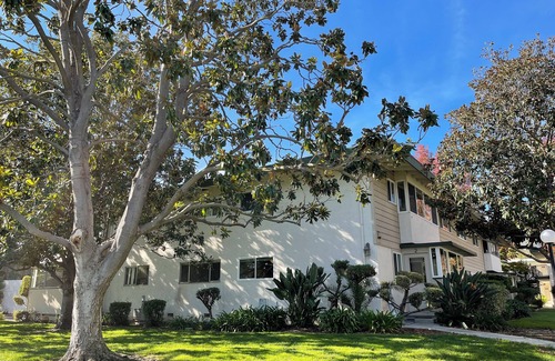 Los Gatos Condo | Charming 1-bedroom condo with AC in fabulous Los Gatos