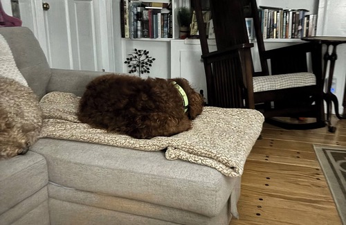 Islip Cottage | Charming 1-bedroom cottage in tranquil Islip with AC