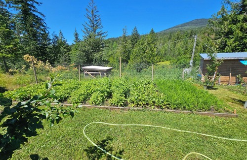 Ashton Creek Cottage | Charming 2-bedroom cottage in Enderby with AC, WiFi and Kitchenette.