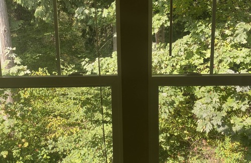 Bothell House | Charming 2-bedroom house in Bothell with AC and dual ensuite masters