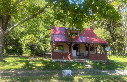 Lairdsville Cabin | Charming 2-bedroom cabin on Muncy Creek, near Muncy Valley with AC