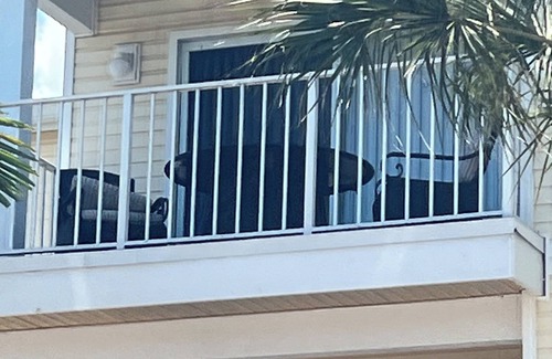 Ocean Side Village Condo | Charming 2 bedroom BeachClub condo in Indialantic. Includes washer/dryer in unit