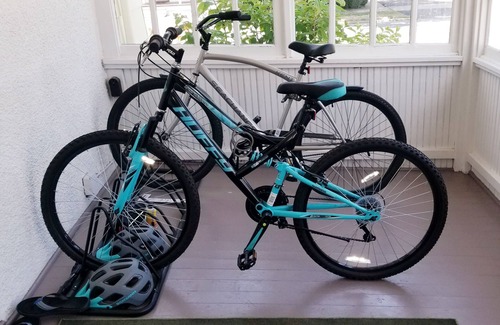 Watkins Glen Apartment | Charming 2-bedroom apartment overlooking park in the Village of Watkins Glen