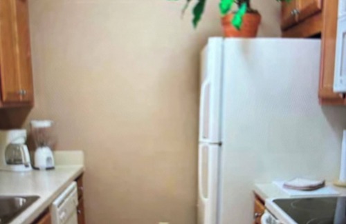 Lackey House | Charming 2-bedroom townhome in nice Williamsburg with WiFi, fitness room