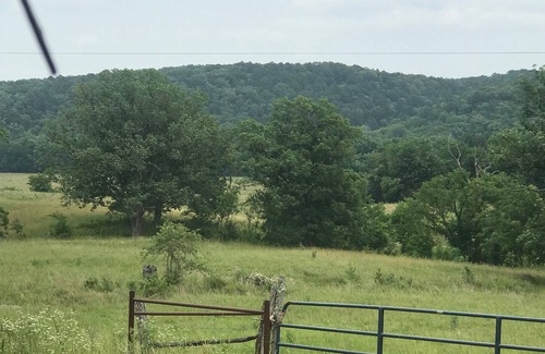 Licking House | Charming 3-bedroom home outside of Licking Mo on Mark Twain National Forest.