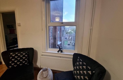 Rochester East Ward House | Charming 3-Bedroom House Near Rochester Town Center