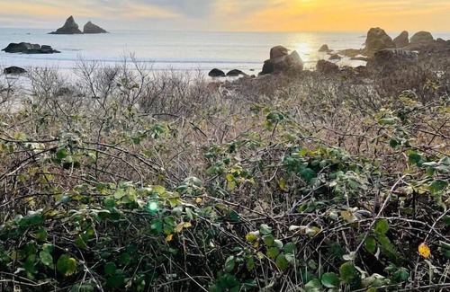 Harbor House | Charming 3 bedroom Residence with amazing views